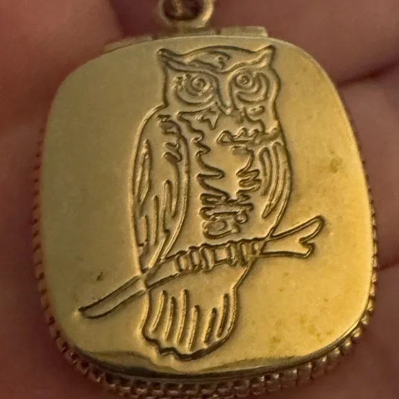 J. Crew Gold Owl Pendant Necklace 24” with Locket - Picture 1 of 5